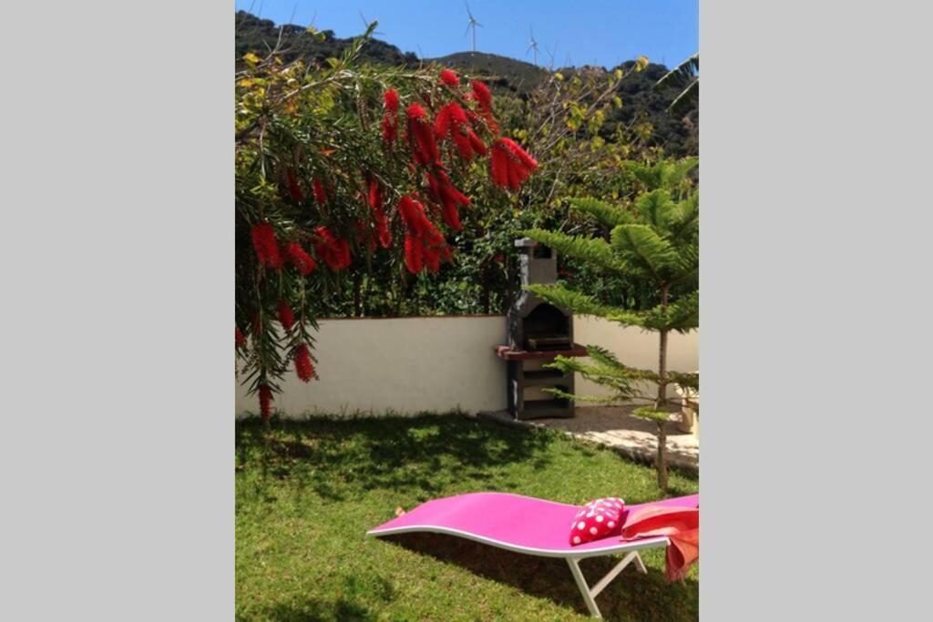 Apartment La Pena Rojo Wifi Tarifa Exteriér fotografie